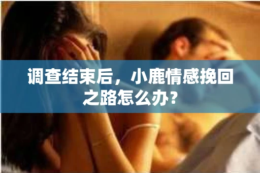 调查结束后，小鹿情感挽回之路怎么办？