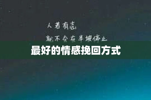 最好的情感挽回方式 最好的情感挽回方式