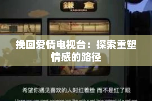 挽回爱情电视台：探索重塑情感的路径