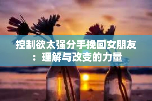 控制欲太强分手挽回女朋友：理解与改变的力量