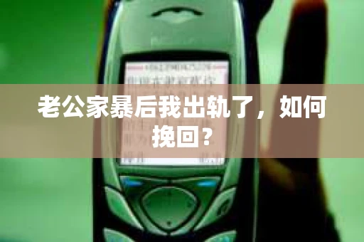 老公家暴后我出轨了，如何挽回？