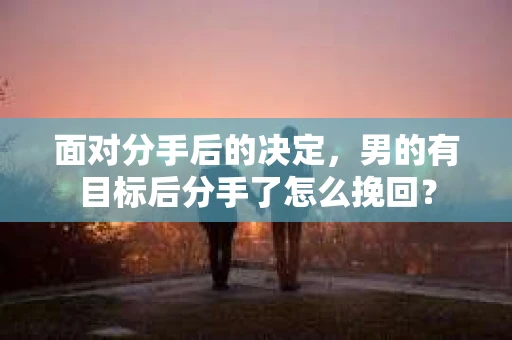 面对分手后的决定，男的有目标后分手了怎么挽回？