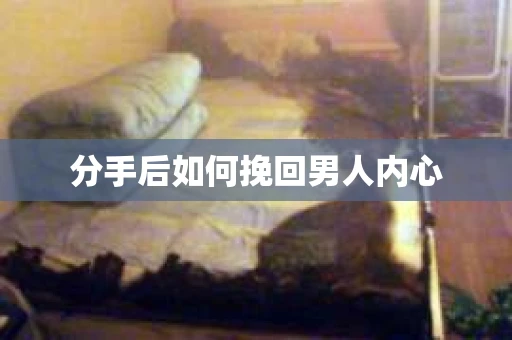 分手后如何挽回男人内心