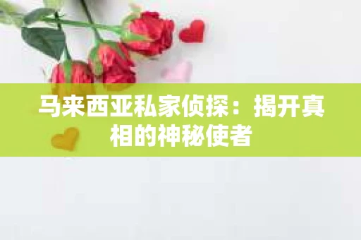 马来西亚私家侦探：揭开真相的神秘使者