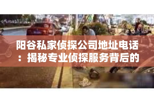 阳谷私家侦探公司地址电话：揭秘专业侦探服务背后的故事