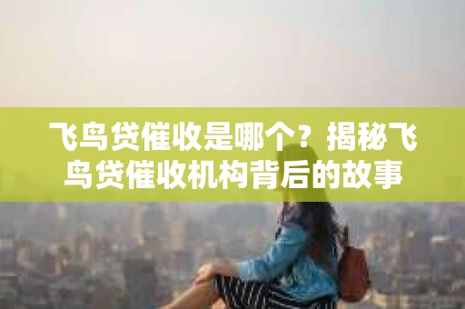 飞鸟贷催收是哪个？揭秘飞鸟贷催收机构背后的故事