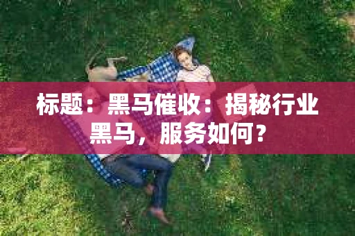 标题：黑马催收：揭秘行业黑马，服务如何？