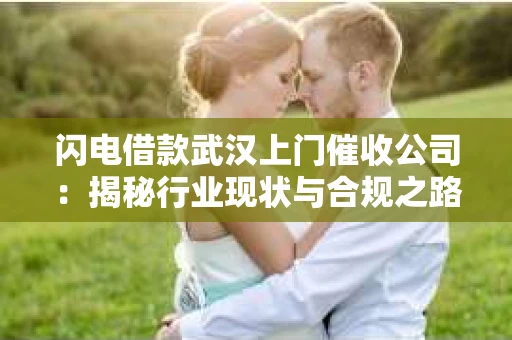 闪电借款武汉上门催收公司：揭秘行业现状与合规之路