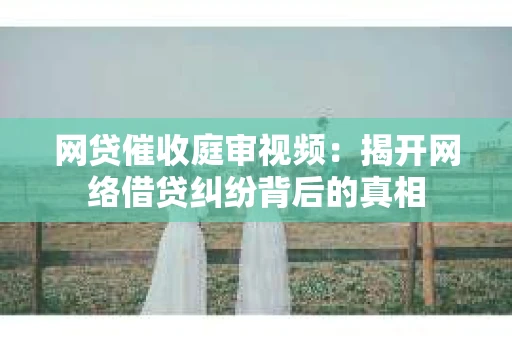 网贷催收庭审视频：揭开网络借贷纠纷背后的真相