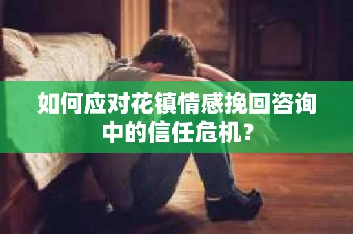 如何应对花镇情感挽回咨询中的信任危机？