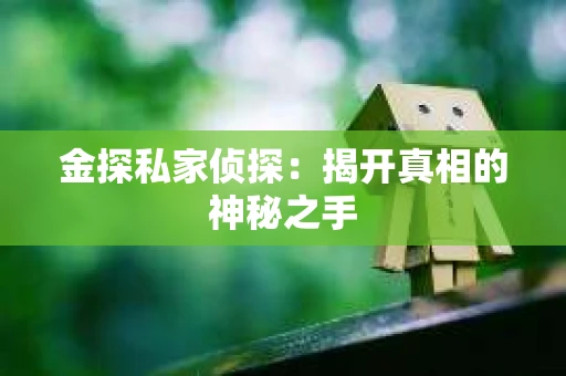 金探私家侦探：揭开真相的神秘之手