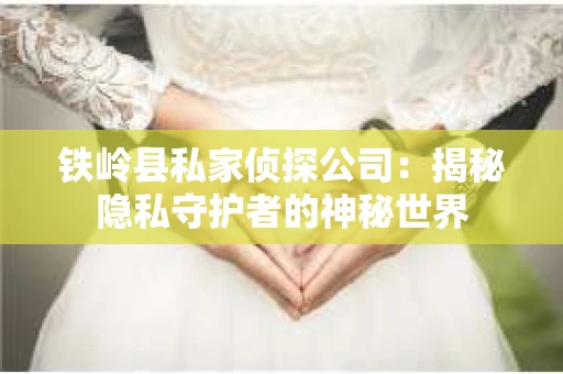 铁岭县私家侦探公司：揭秘隐私守护者的神秘世界