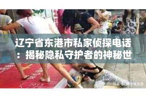 辽宁省东港市私家侦探电话：揭秘隐私守护者的神秘世界