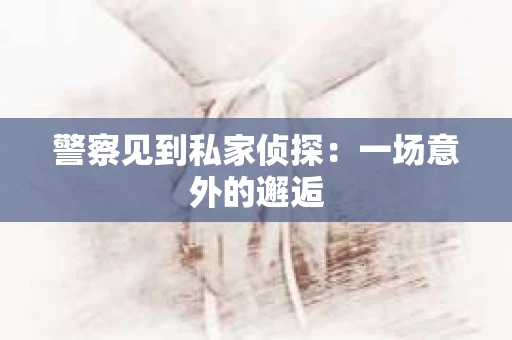 警察见到私家侦探：一场意外的邂逅