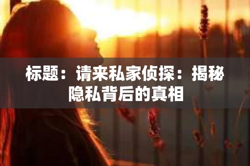 标题：请来私家侦探：揭秘隐私背后的真相