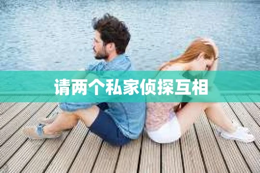 请两个私家侦探互相