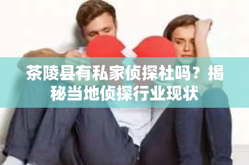 茶陵县有私家侦探社吗？揭秘当地侦探行业现状
