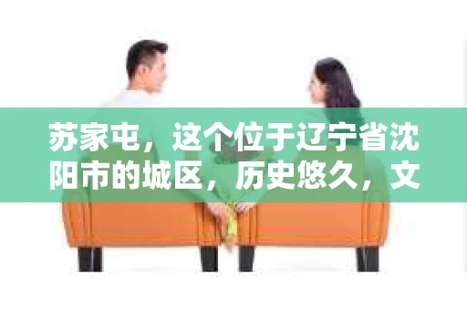苏家屯，这个位于辽宁省沈阳市的城区，历史悠久，文化底蕴深厚。近年来，随着社会的发展，人们对于私家侦探的需求也逐渐增加。那么，苏家屯有私家侦探吗？今天，我们就来聊聊这个话题。