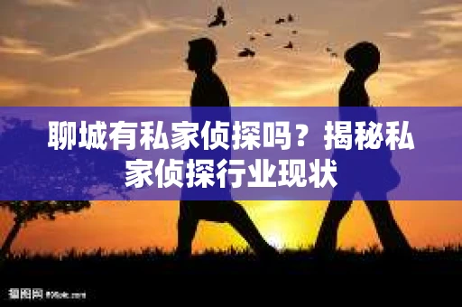 聊城有私家侦探吗？揭秘私家侦探行业现状