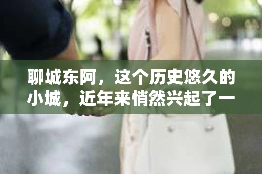聊城东阿，这个历史悠久的小城，近年来悄然兴起了一股新的服务潮流——私家侦探。今天，我们就来聊聊这个话题，看看在聊城东阿，私家侦探是如何成为人们生活中的一部分的。
