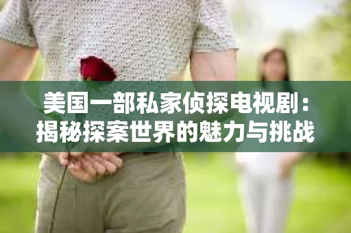 美国一部私家侦探电视剧：揭秘探案世界的魅力与挑战