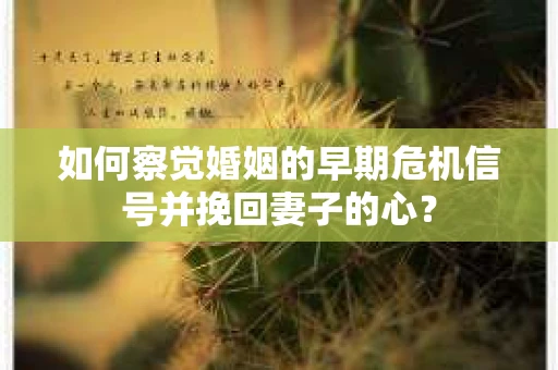 如何察觉婚姻的早期危机信号并挽回妻子的心？
