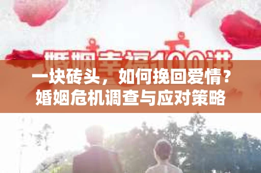 一块砖头,如何挽回爱情?婚姻危机调查与应对策略 一块砖头,如何挽回爱情?婚姻危机调查与应对策略