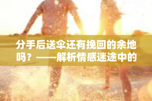 分手后送伞还有挽回的余地吗？——解析情感迷途中的决策