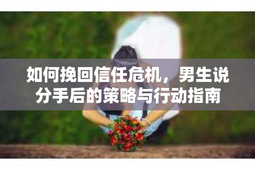 如何挽回信任危机，男生说分手后的策略与行动指南
