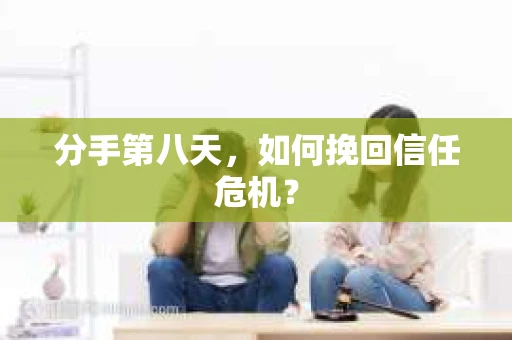 分手第八天，如何挽回信任危机？