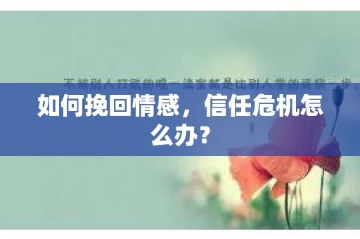 如何挽回情感,信任危机怎么办? 如何挽回情感,信任危机怎么办?
