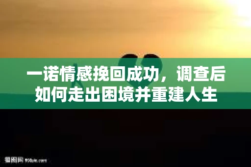 一诺情感挽回成功，调查后如何走出困境并重建人生